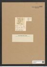 Rhaphoneis ? archeri O'Meara (de-Toni-Nr.: Genus 78, Species 2820) Zeichnungen Sammlung Grunow Nr. 5782 (NHMW-BOT-W0374182)